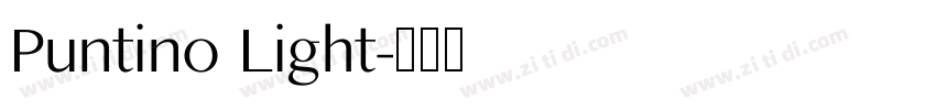 Puntino Light字体转换